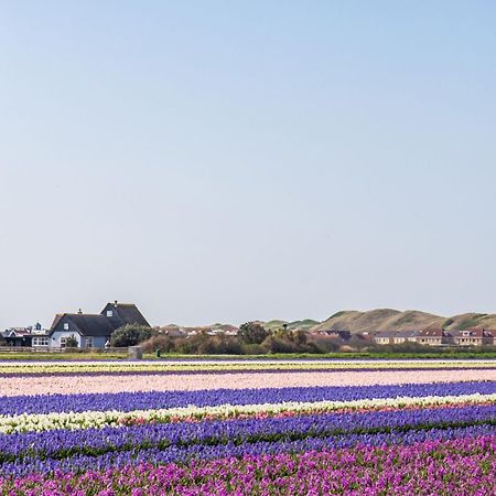 Duinland 251 - Park Duinland Sint Maartenszee Sint Maartensvlotbrug エクステリア 写真