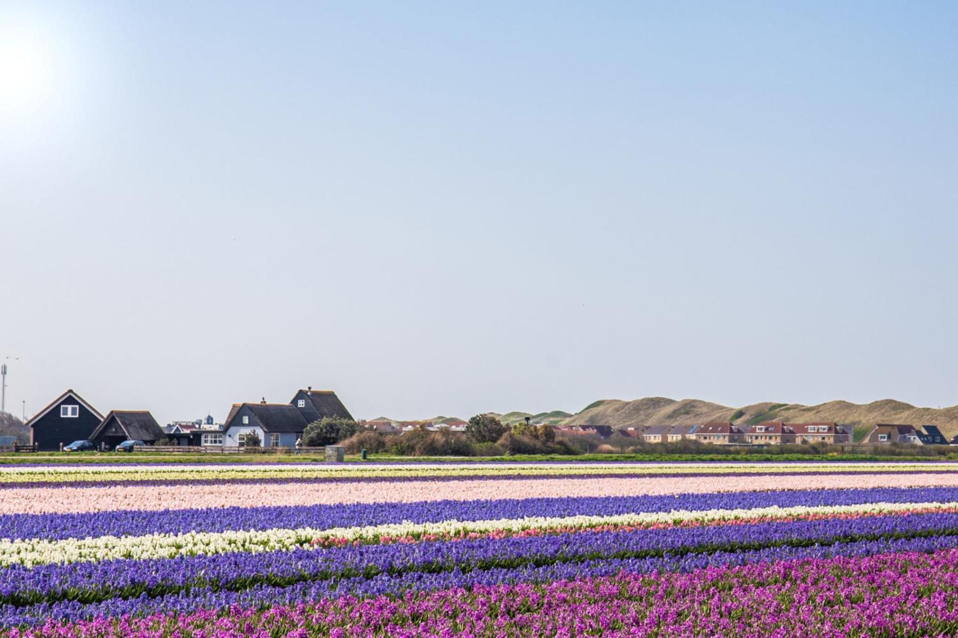 Duinland 251 - Park Duinland Sint Maartenszee Sint Maartensvlotbrug エクステリア 写真